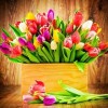 Hot Carnation Mother's Day Gift Full Drill - 5D Diy Diamond Painting Kits