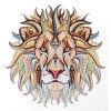 Full Drill - 5D DIY Diamond Painting Kits Cartoon Colorful Lion