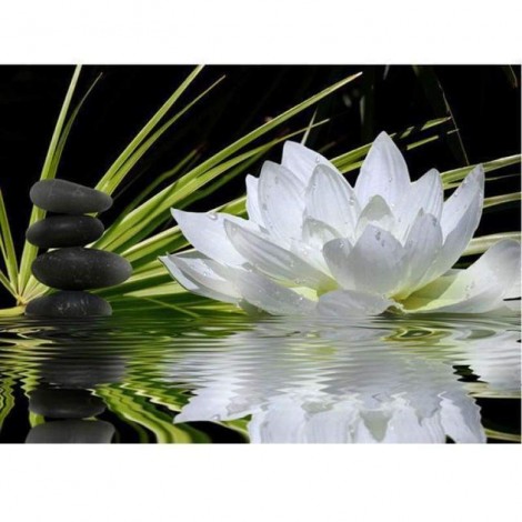 Full Drill - 5D DIY Diamond Painting Kits White Lotus Flower