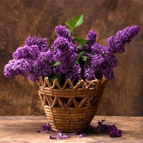 Special Free Shipping Lavender Full Drill - 5D Diy Diamond Painting Flower Kits