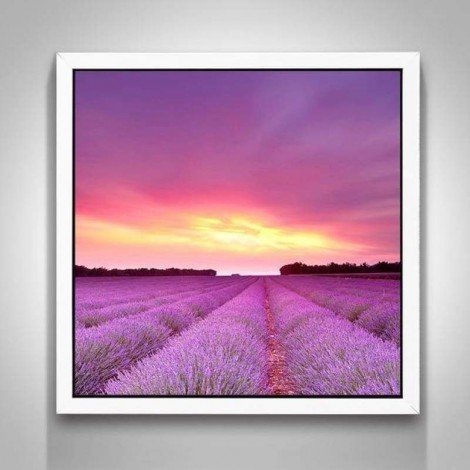 Full Drill - 5D DIY Diamond Painting Kits Beautiful Sunset Lavender Fields Nature
