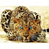 New Hot Sale Animal Portrait Leopard Full Drill - 5D Diy Diamond Painting Kits