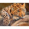 Full Drill - 5D DIY Diamond Painting Kits Elegant Cute Leopard