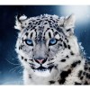 Full Drill - 5D DIY Diamond Painting Kits Black White Cool Leopard
