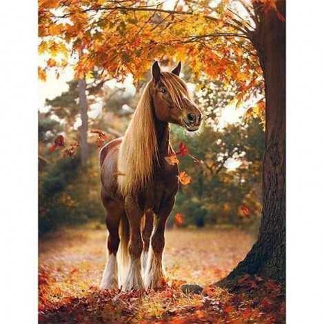 New Hot Sale Embroidery Animal Horse Full Drill - 5D Diy Diamond Painting Kits