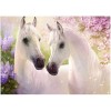 Full Drill - 5D DIY Diamond Painting Kits Animal White Horses