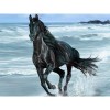 Full Drill - 5D DIY Diamond Painting Kits Running Black Horse By the Sea