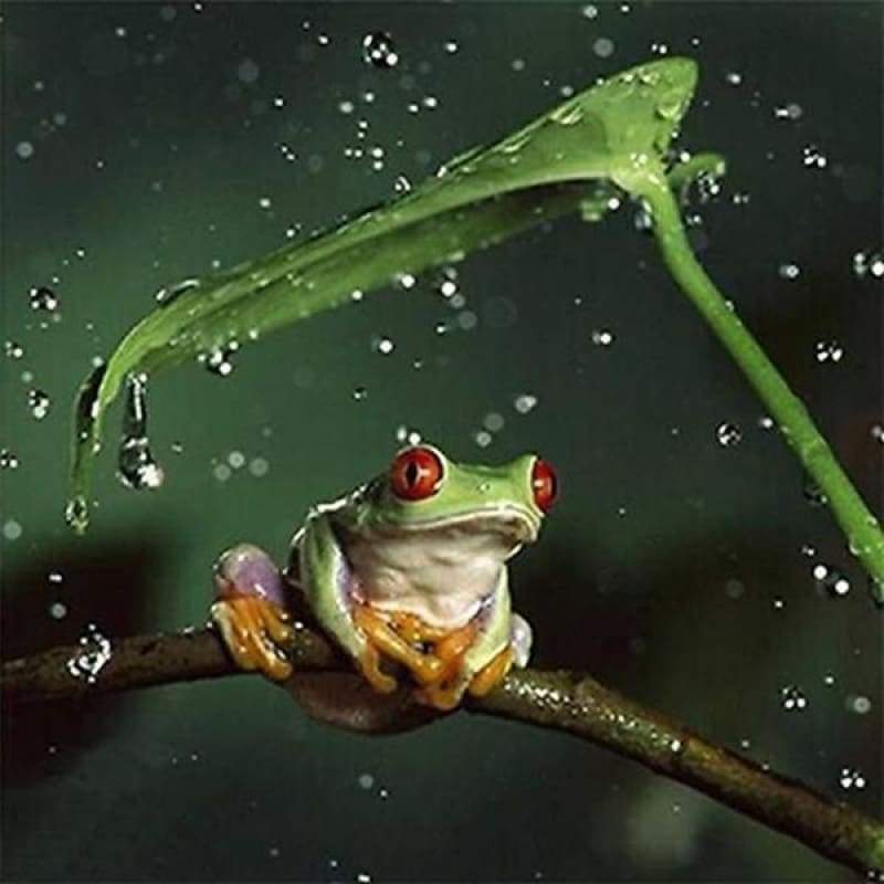 Modern Art Frog Full...