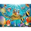 Full Drill - 5D DIY Diamond Painting Kits Funny Turtle Fish in the Sea