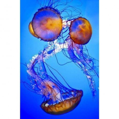 Full Drill - 5D DIY Diamond Painting Kits Fantastic Jellyfishs