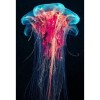 Full Drill - 5D DIY Diamond Painting Kits Beautiful Jellyfish