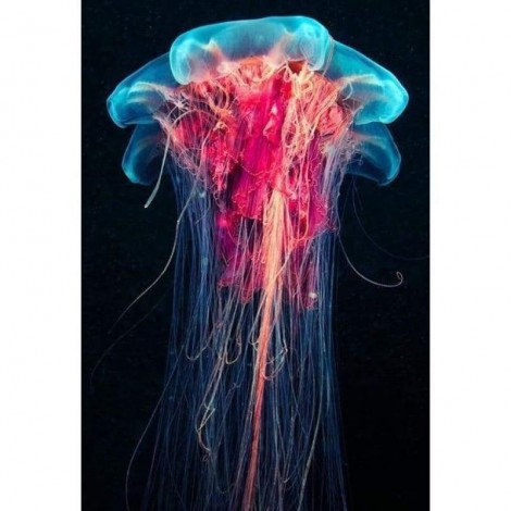 Full Drill - 5D DIY Diamond Painting Kits Beautiful Jellyfish