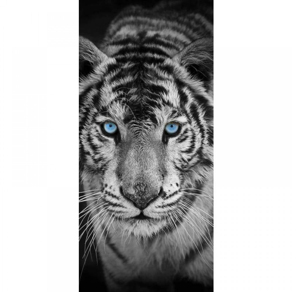 Tiger Blue Eyes Diamond Painting