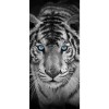 Black And White Tiger Blue Eyes- Full Drill Diamond Painting -
