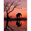 Full Drill - 5D DIY Diamond Painting Kits Sunset Landscape Elephant