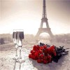 Full Drill - 5D DIY Diamond Painting Kits Artistic Red Rose Wine Eiffel Tower