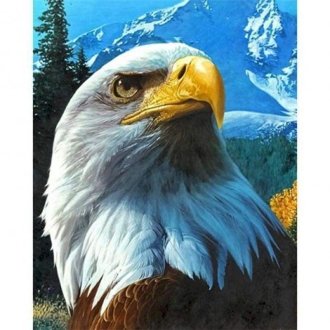 Hot Sale Eagle Portrait Full Drill - 5D Diy Diamond Painting Kits
