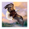 Full Drill - 5D DIY Diamond Painting Kits Popular Watercolor Eagle Flying