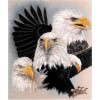 New Animal Eagle Picture Wall Decor Full Drill - 5D Diy Diamond Painting Kits