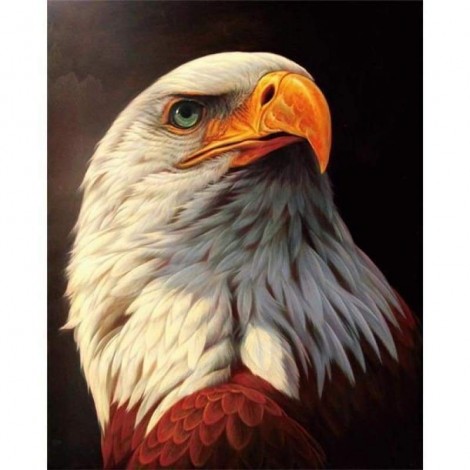 Hot Sale Animal Eagle Portrait Full Drill - 5D Diy Diamond Painting Kits