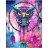 Full Drill - 5D DIY Diamond Painting Kits Dream Catcher Colorful Cute Owl