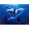 Full Drill - 5D DIY Diamond Painting Kits Cute Dolphins in the Sea