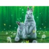 Full Drill - 5D Diy Diamond Painting Kits Cute Rabbits and her Kid Dandelion