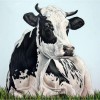 Full Drill - 5D Diamond Painting Kits Watercolored Simple and Honest Cow