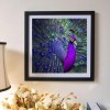 Full Drill - 5D DIY Diamond Painting Kits Purple and Blue Oil Painting Styles Peacock