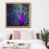 Full Drill - 5D DIY Diamond Painting Kits Purple and Blue Oil Painting Styles Peacock