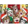 Full Drill - 5D DIY Diamond Painting Kits Winter Happy Christmas Cat