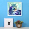 Full Drill - 5D DIY Diamond Painting Kits Dream Colorful Cat