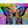Colourful Butterfly- Full Drill Diamond Painting Abstract