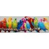 New Hot Sale Birds Parrot Gift Full Drill - 5D Diy Diamond Painting Kits