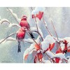 Full Drill - 5D DIY Diamond Painting Kits Winter Artistic Snow Birds