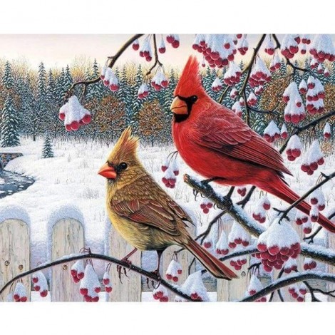 Full Drill - 5D DIY Diamond Painting Kits Winter Birds on the Branches