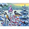 Full Drill - 5D DIY Diamond Painting Kits Winter Snow Bird Home
