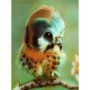 Special Cute Bird Picture Full Drill - 5D Diy Diamond Painting Kits