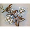 Full Drill - 5D DIY Diamond Painting Kits Affordable Birds on the Flower Branches
