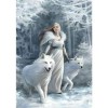 Full Drill - 5D DIY Diamond Painting Kits Winter Beauty And Animal Wolf
